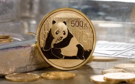 Pakistan kick-starts preparation for issuance of debut Panda bond