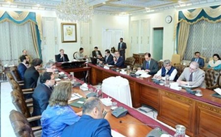 Pakistan to launch AI Platform for Women Entrepreneurs