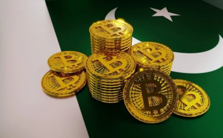 Cabinet Approves Formation of Pakistan Virtual Assets Regulatory Authority